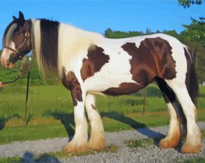 Aesthetic Gypsy Vanner paint by numbers