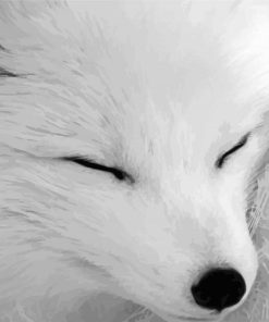 Adorable White Fox Paint By Numbers