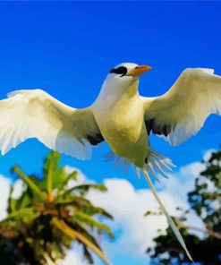 Flying Sea Bird paint by numbers