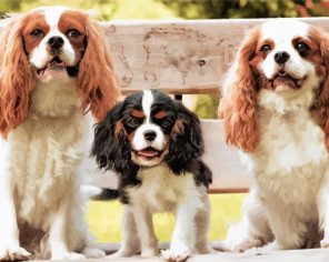 Trio King Charles paint by numbers