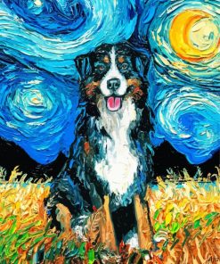 Bernese Starry Night paint by numbers