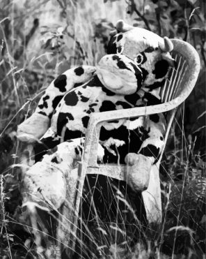 Monochrome Cow Paint By Numbers