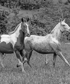 Galloping Horses paint by numbers