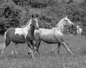 Galloping Horses paint by numbers