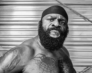 Boxer Kimbo Slice Paint By Numbers