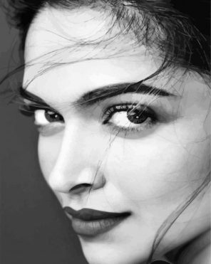 Monochrome Deepika Paint By Numbers