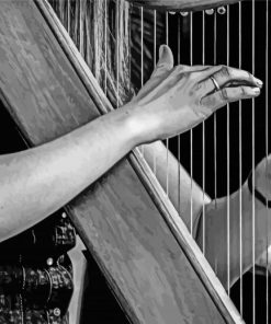 Black And White Harpists paint by numbers