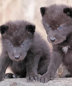 Wolf Puppies Paint By Numbers