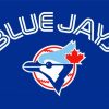 Blue Jays Team Logo Paint By Numbers