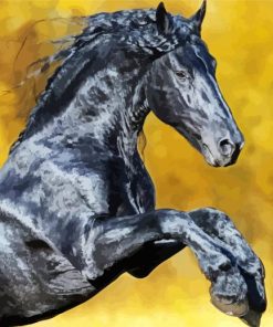 Black Friesian Horse Paint By Numbers