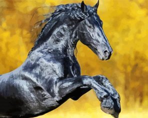 Black Friesian Horse Paint By Numbers