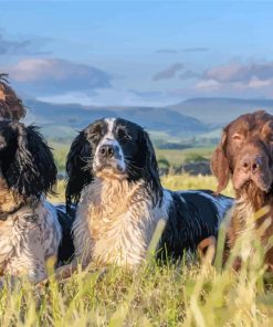 Wire Hair Dogs Paint By Numbers