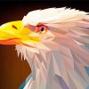 Eagle Abstract Paint By Numbers