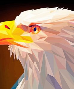 Eagle Abstract Paint By Numbers