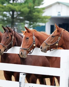 Farm Horses Paint By Numbers