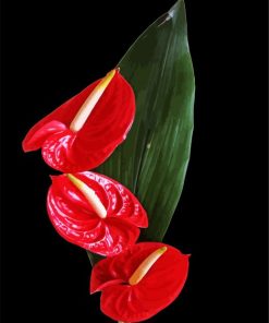 Flamingo Flower Anthurium paint by numbers