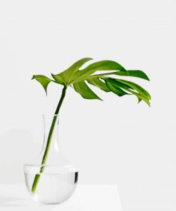 Minimalist Plant Paint by Numbers