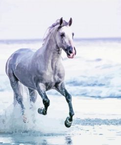 Horse On Beach Paint by Numbers