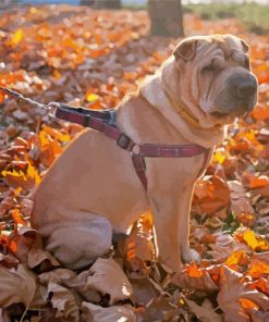 Leash Dog On Leaves paint by numbers