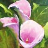 Pink Artistic Lilies paint by numbers