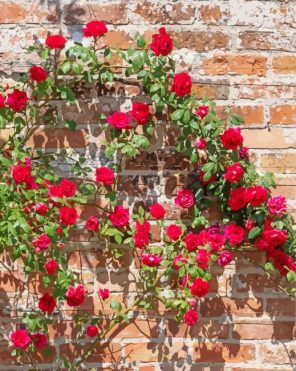 Pink Flowers Wall paint by numbers