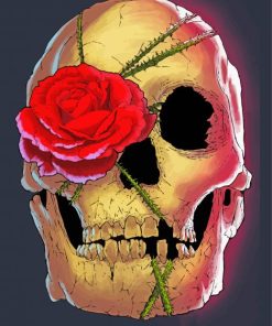 Rose Skull paint by numbers