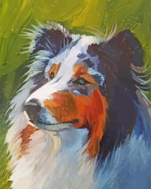 Rough Collie Dog Art paint by numbers