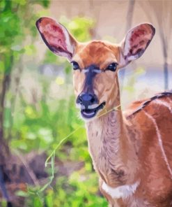 Smiling Nyala Animal Art paint by numbers