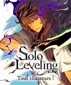 Solo Leveling Paint By Numbers