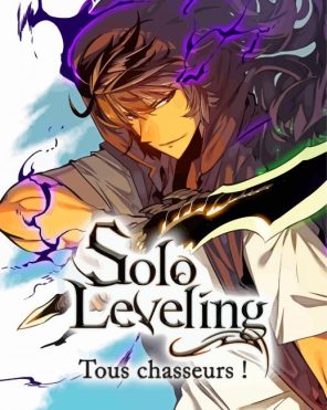 Solo Leveling Paint By Numbers