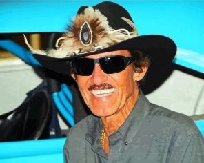 Richard Petty Paint by Numbers