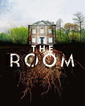 The Room Poster paint by numbers