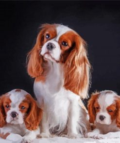 Trio King Charles Dogs paint by numbers