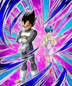 Vegeta And Bulma Anime Paint By Numbers