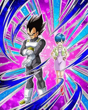 Vegeta And Bulma Anime Paint By Numbers