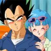 Vegeta And Bulma Characters paint by numbers