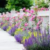 Fence And Flowers Paint By Numbers