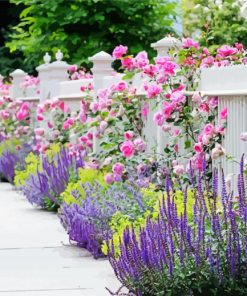 Fence And Flowers Paint By Numbers