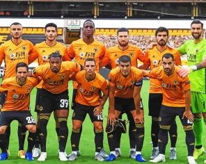 Wolves F.c Team Paint By Numbers