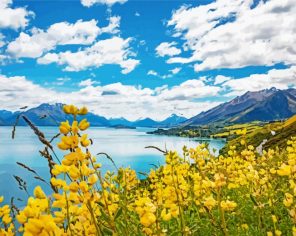 Yellow Flowers Field Paint by Numbers