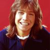 Young David Cassidy paint by numbers