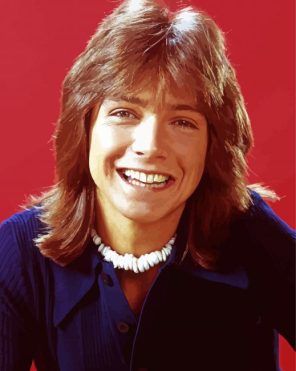 Young David Cassidy paint by numbers