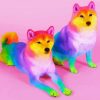 Adorable Rainbow Dog Paint By Numbers