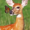 Deer With Butterfly paint by numbers