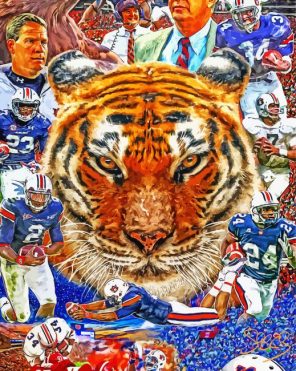 Auburn Tigers Art paint by numbers