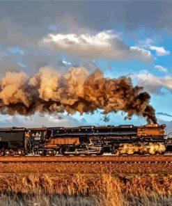 Big Boy 4014 Steam Train paint by numbers