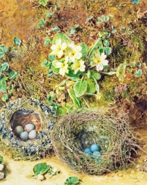 Bird Nests Art Paint By Numbers