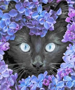 Black Cat With Flowers paint by numbers