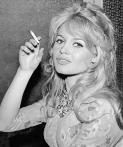 Brigitte Bardot Paint By Numbers