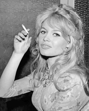 Brigitte Bardot Paint By Numbers